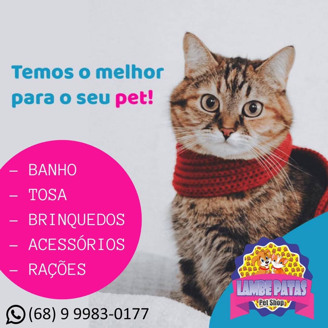 PET SHOP EM RIO BRANCO - AC