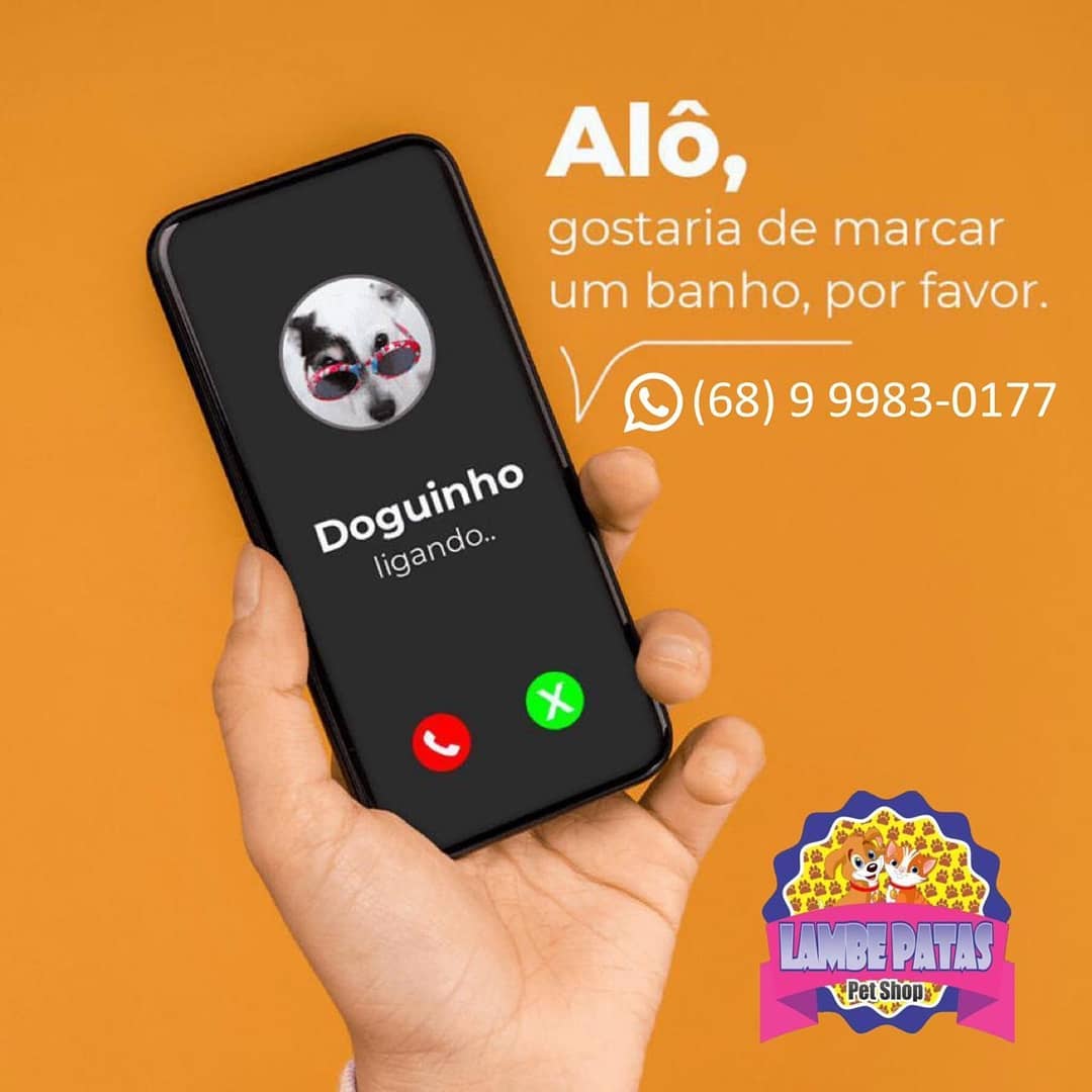 PET SHOP EM RIO BRANCO - AC