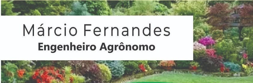 MF - Jardinagem e Paisagismo