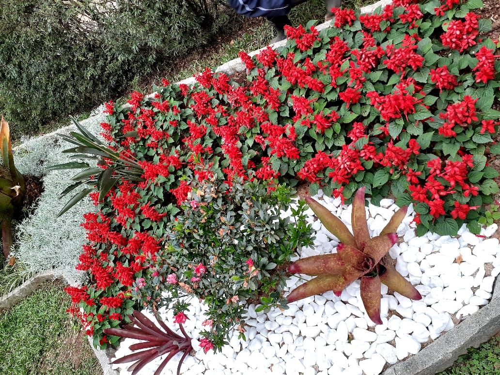 JARDINAGEM E PAISAGISMO EM TERESÓPOLIS