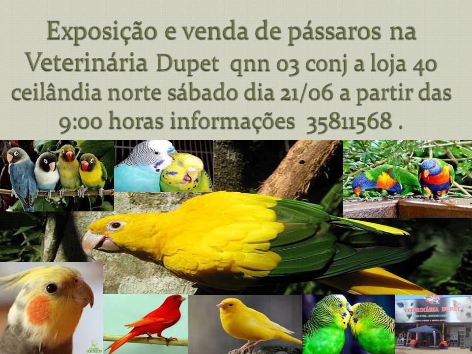 DISK RACAO EM CEILANDIA - DUPET - DF