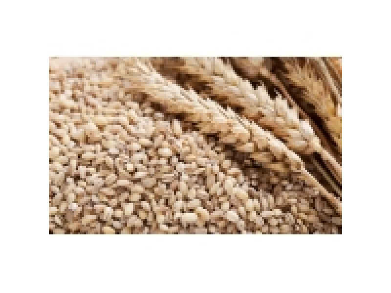 PRODUTOS NATURAIS, GRÃOS NA VILA PROGREDIOR EM SÃO PAULO