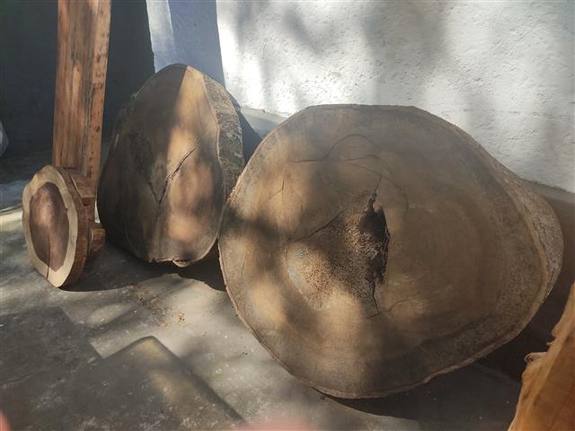 PRANCHAS E TÁBUAS DE MADEIRAS EM CABO FRIO - RJ