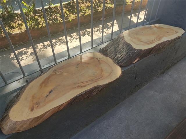 PRANCHAS E TÁBUAS DE MADEIRAS EM CABO FRIO - RJ