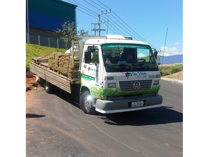 GRAMA EM PETRÓPOLIS - GRAMA ESMERALDA - RJ