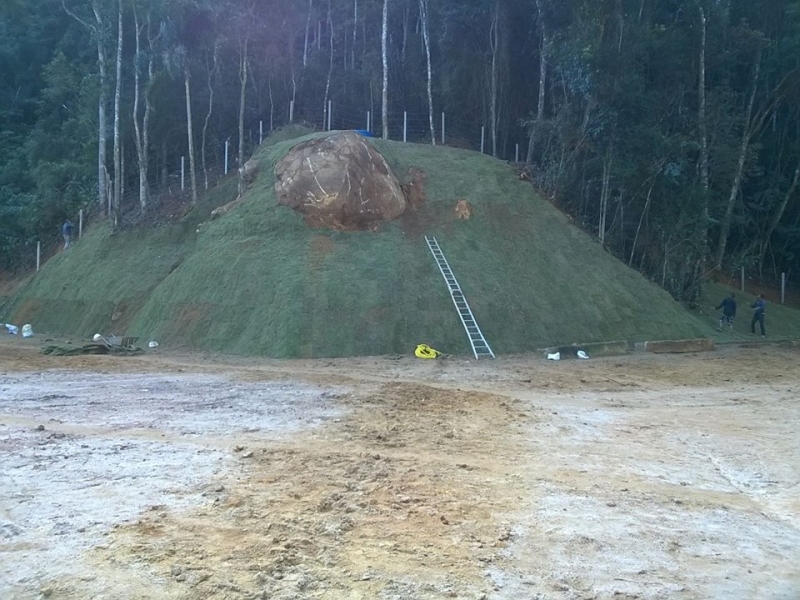 GRAMA EM PETRÓPOLIS - GRAMA ESMERALDA - RJ