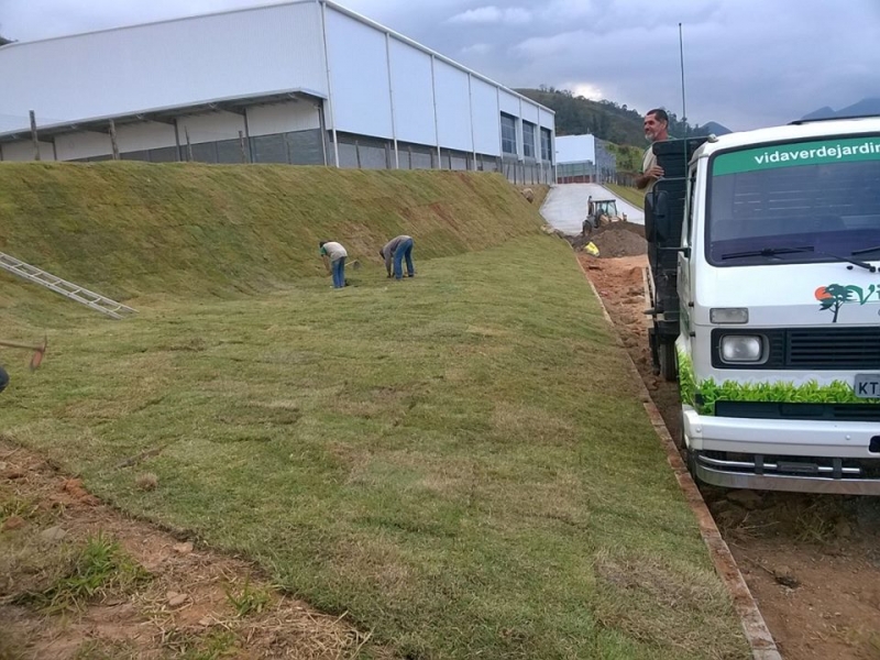 GRAMA EM TRÊS RIOS - GRAMA ESMERALDA - RJ