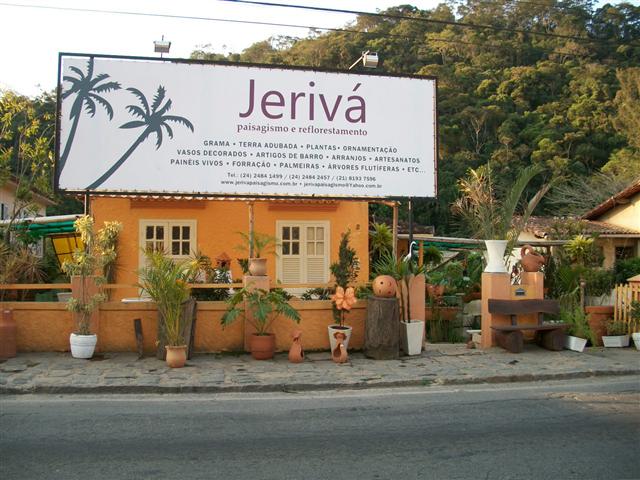 PAISAGISMO REFLORESTAMENTO EM MIGUEL PEREIRA - JERIVÁ 