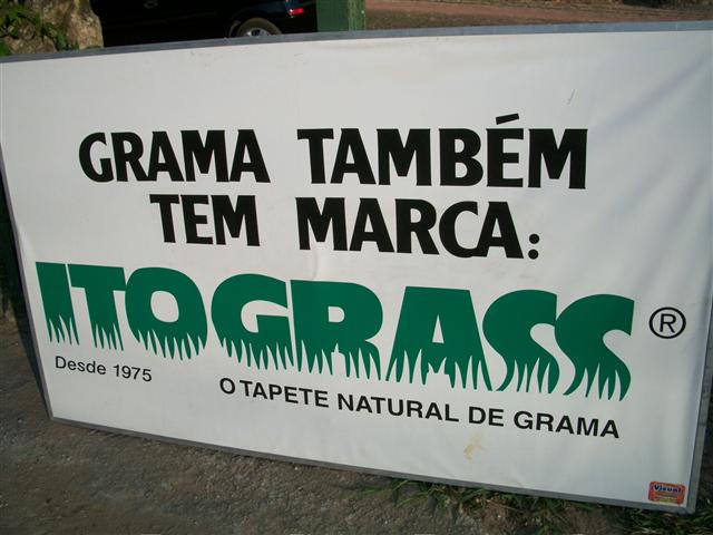 PAISAGISMO REFLORESTAMENTO EM MIGUEL PEREIRA - JERIVÁ 