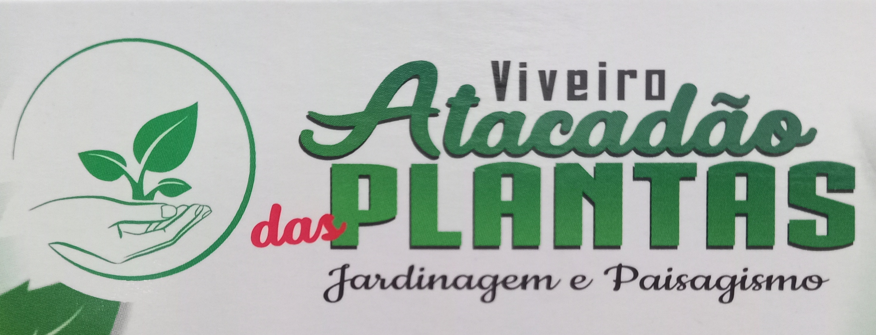 VIVEIRO ATACADÃO DAS PLANTAS