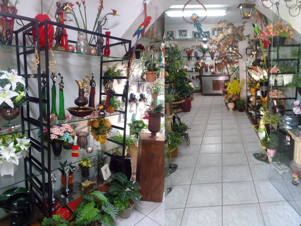 Jardim Vertical Gonzaga Santos com Plantas e Flores Decoração de Ambientes