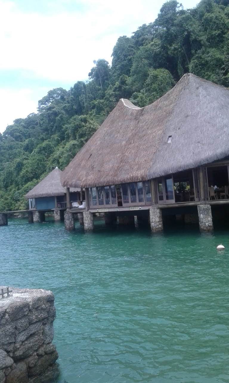 VENDA DE PIAÇAVA EM UBATUBA SP