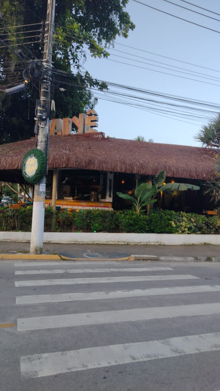 VENDA DE PIAÇAVA EM UBATUBA SP