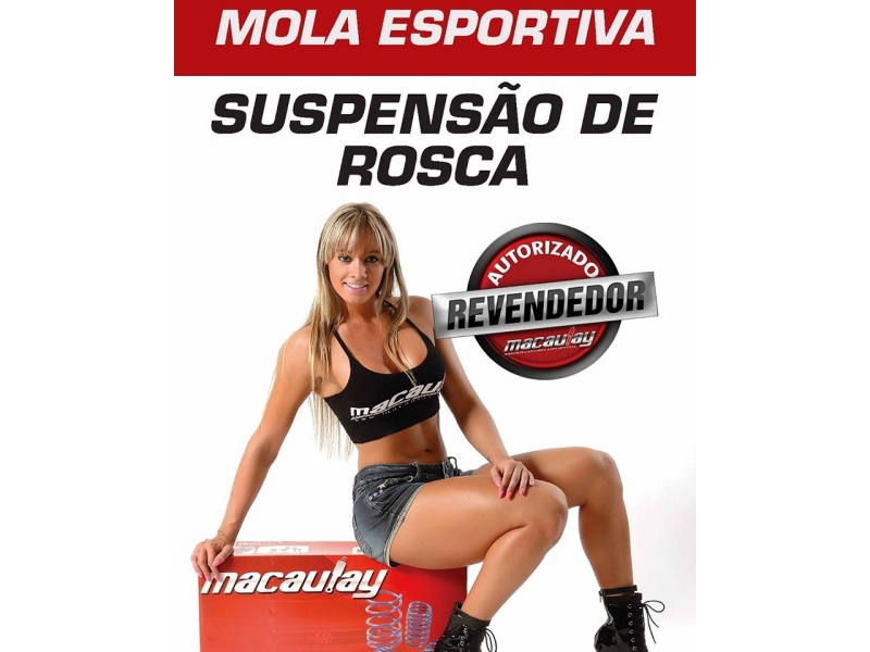 SUSPENSÃO DE ROSCA EM TAUBATÉ - SUSPENSÕES