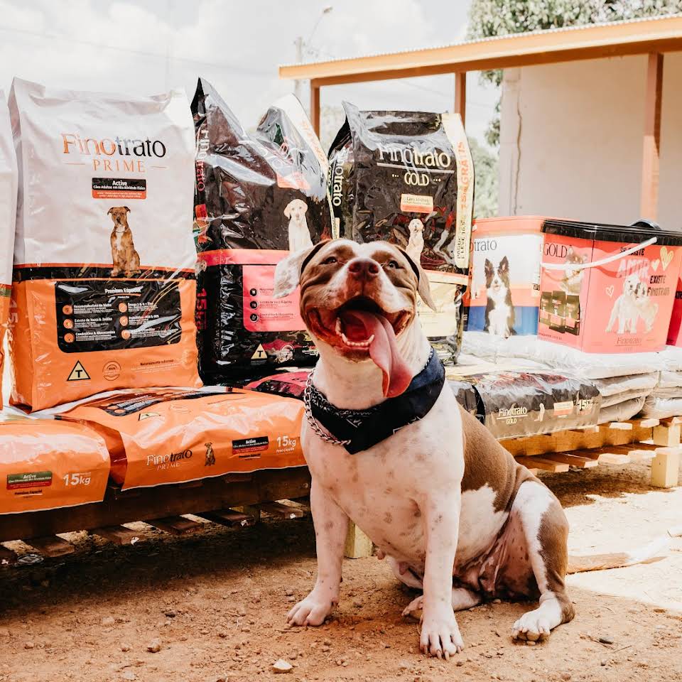 BANHO E TOSA EM MACHADINHO - RO