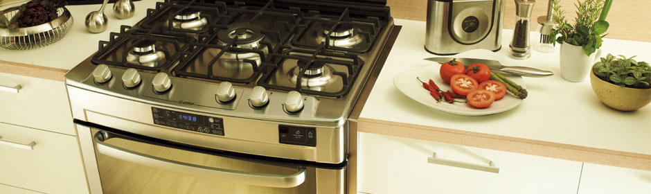 CONSERTO ASSISTENCIA TECNICA DE MAQUINA DE LAVAR GELADEIRA FOGAO EM GUARÁ BRASILIA DF