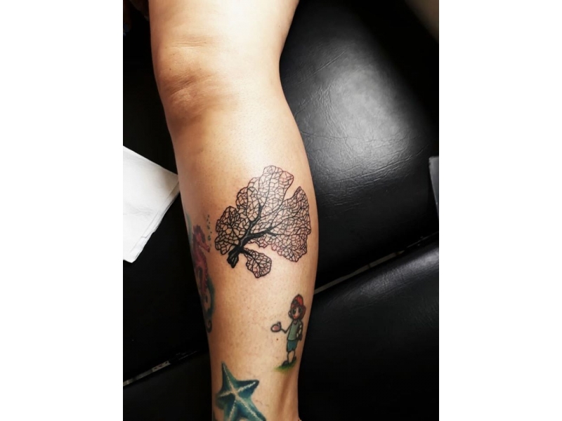 ESTÚDIO DE TATUAGEM EM CAÇAPAVA - TATUADOR - SP 