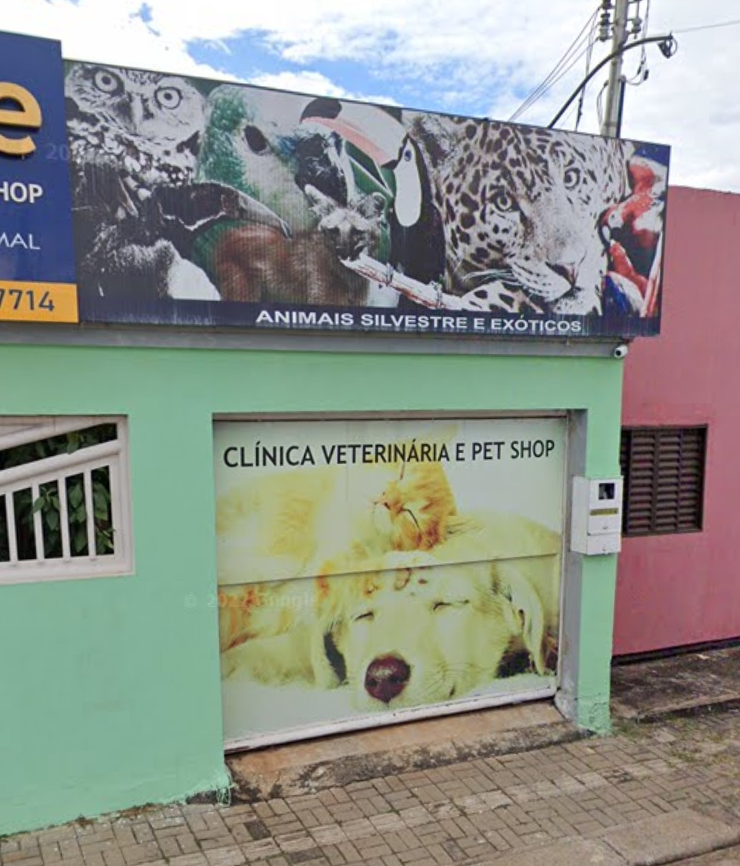 Clinica Veterinaria em Araguaína - ARCA da SAÚDE 