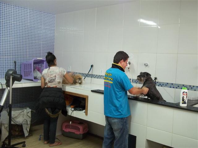 TOSA E BANHO EM TERESOPOLIS RJ