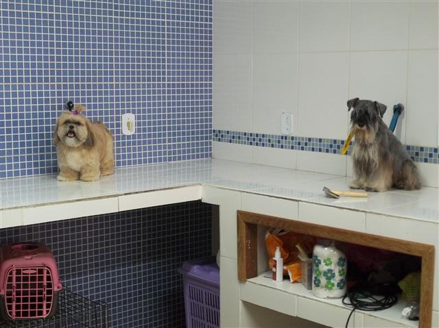 TOSA E BANHO EM TERESOPOLIS RJ