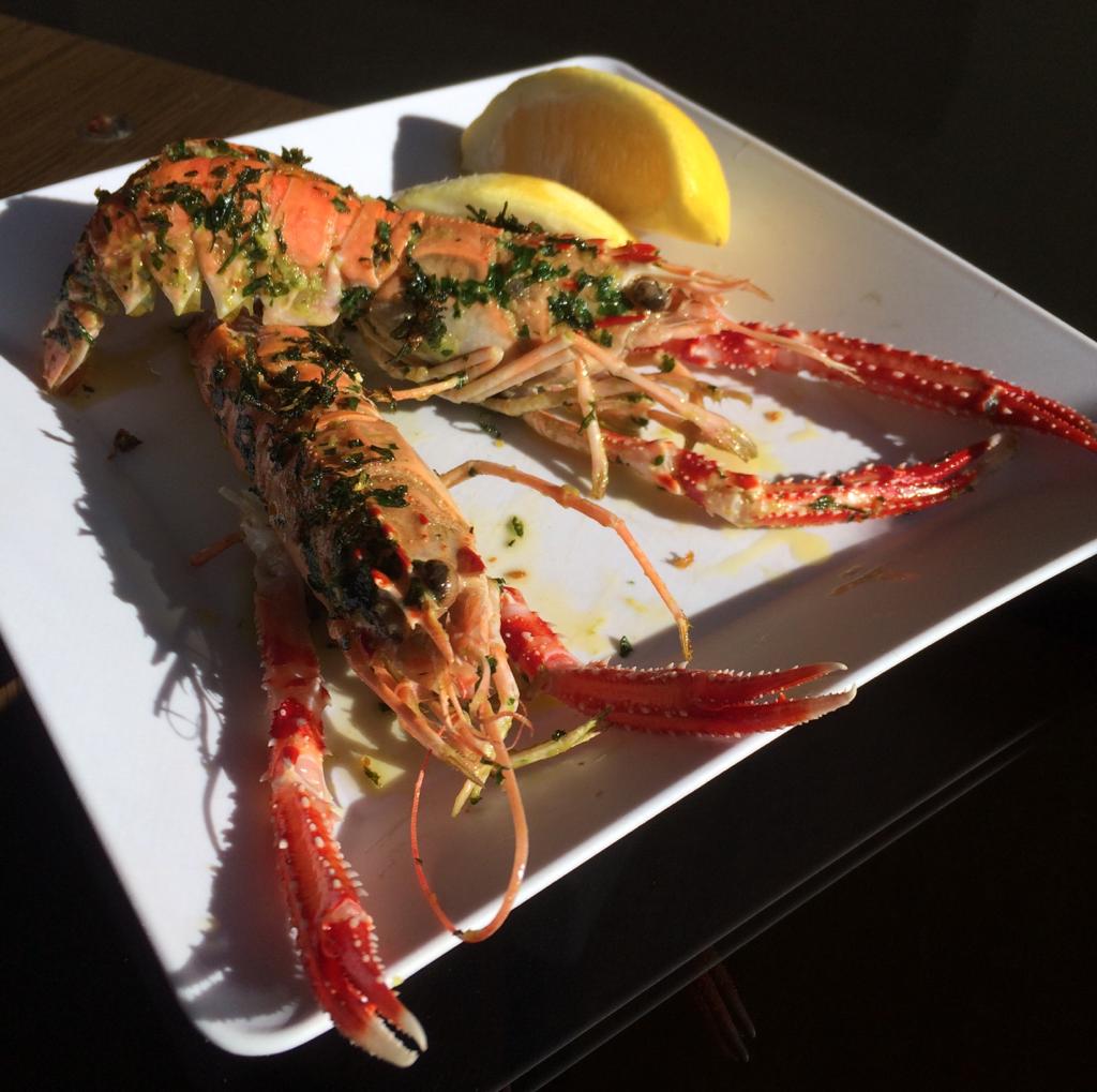PEIXARIA EM PETRÓPOLIS - WhatsApp Online - RJ 
