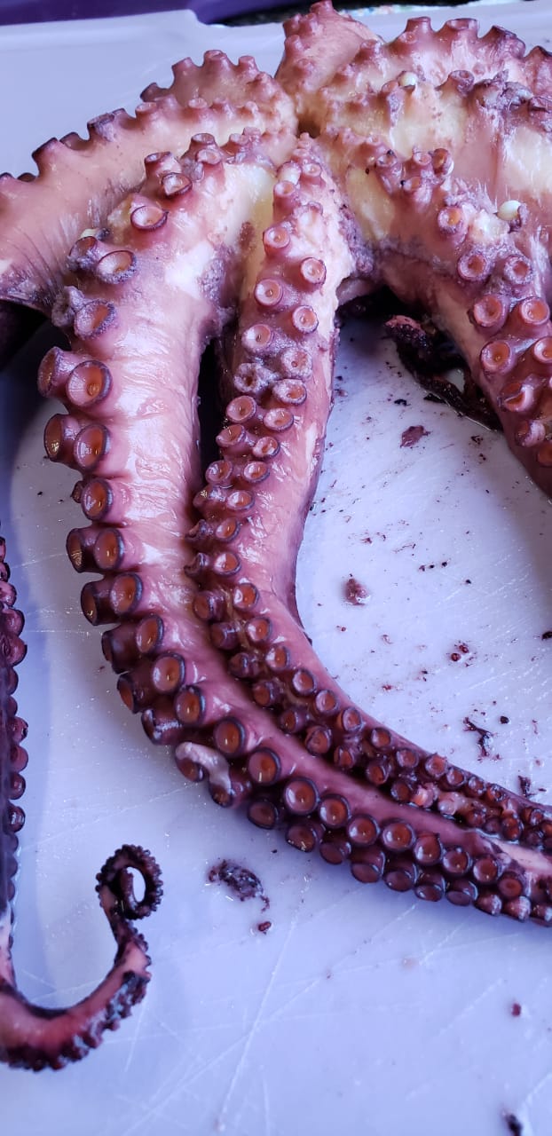 PEIXARIA EM PETRÓPOLIS - WhatsApp Online - RJ 