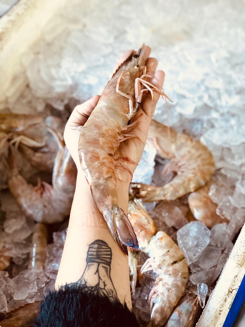 PEIXARIA EM PETRÓPOLIS - WhatsApp Online - RJ 