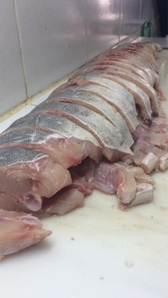 PEIXARIA EM PETRÓPOLIS - WhatsApp Online - RJ 
