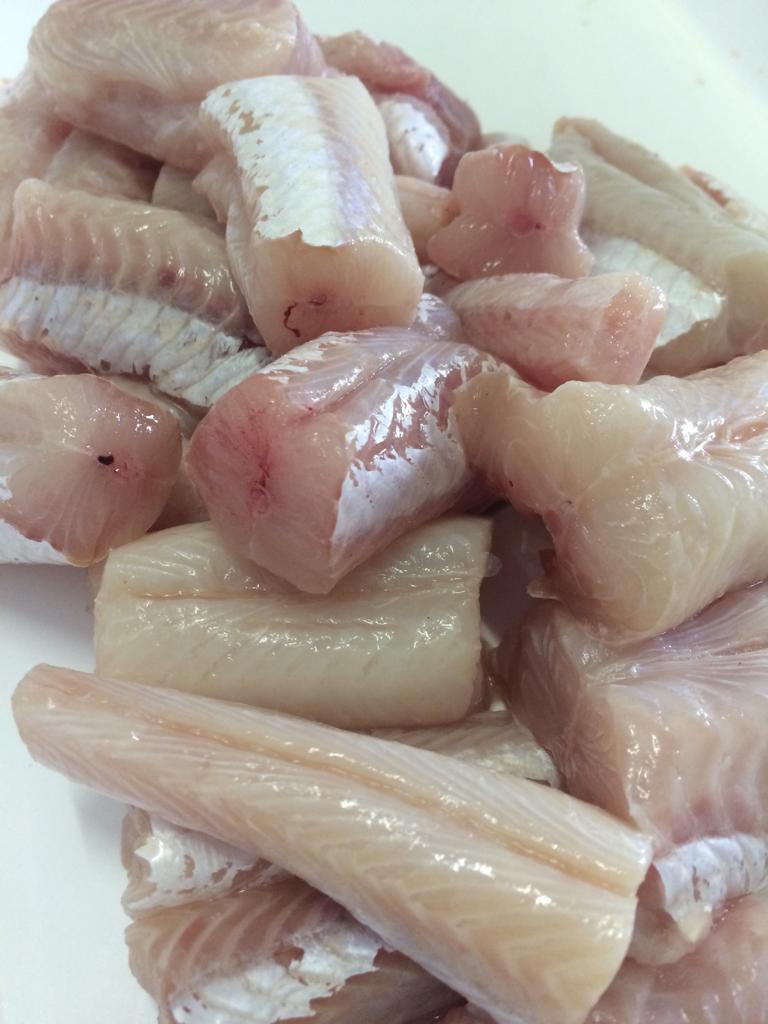 PEIXARIA EM PETRÓPOLIS - WhatsApp Online - RJ 
