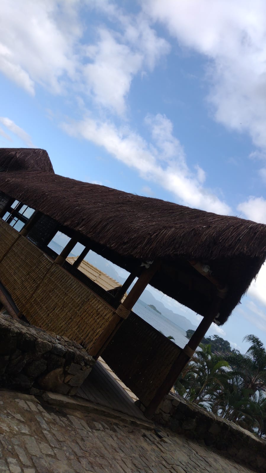 EUCALIPTO TRATADO EM ANGRA DOS REIS RJ