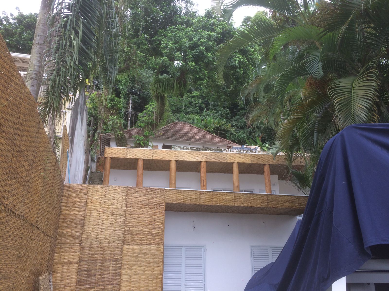 EUCALIPTO TRATADO EM ANGRA DOS REIS RJ