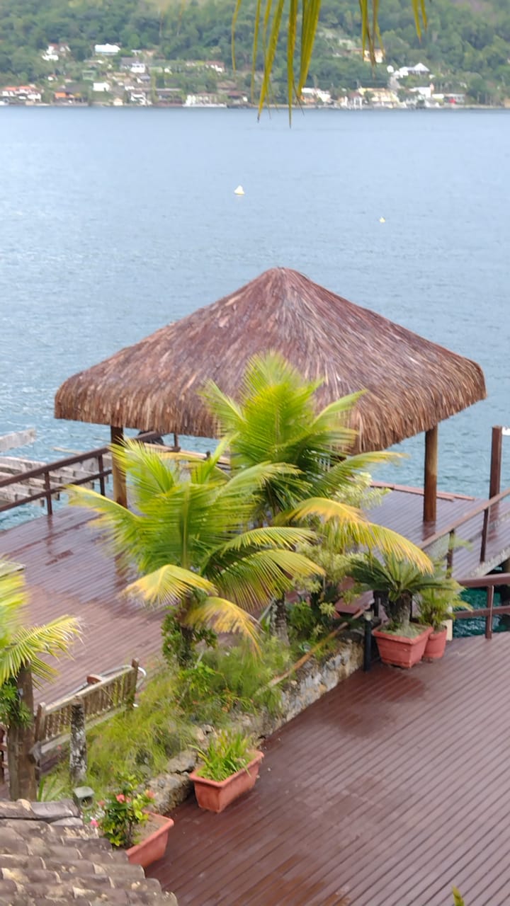 EUCALIPTO TRATADO EM ANGRA DOS REIS RJ