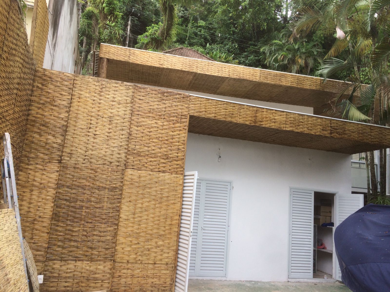 EUCALIPTO TRATADO EM ANGRA DOS REIS RJ