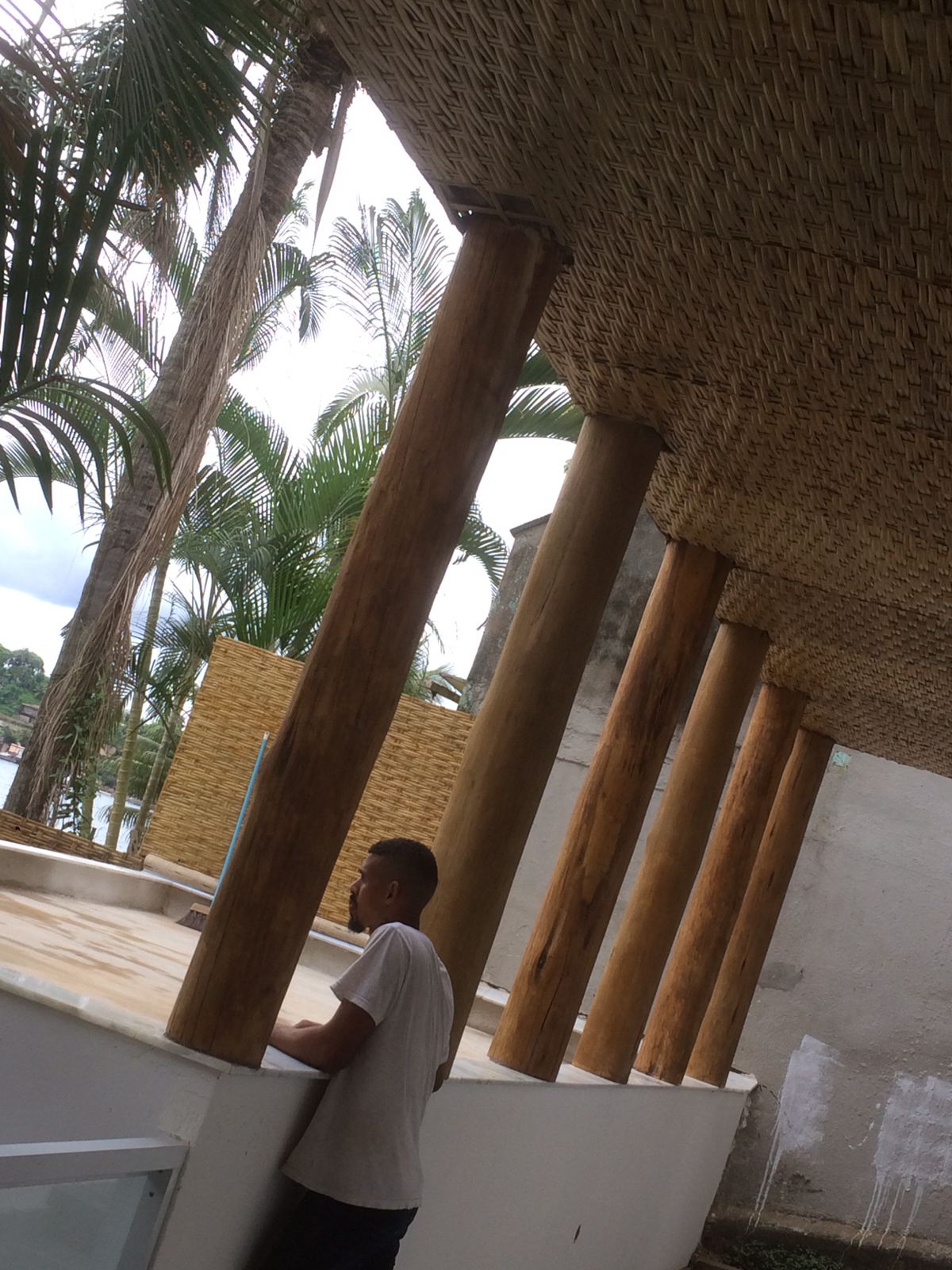 EUCALIPTO TRATADO EM ANGRA DOS REIS RJ