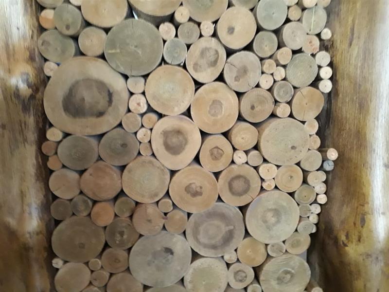 EUCALIPTO TRATADO EM ANGRA DOS REIS RJ