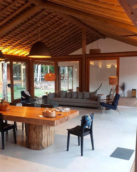 EUCALIPTO TRATADO EM ANGRA DOS REIS RJ