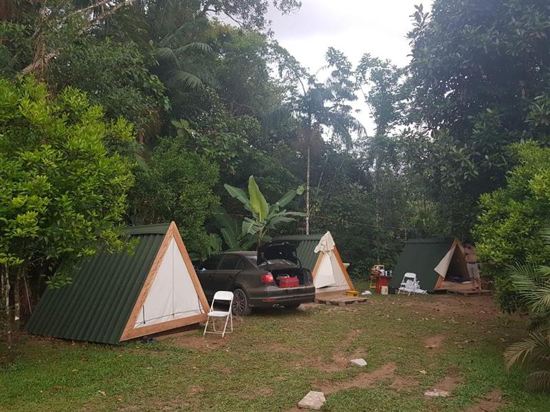 EUCALIPTO TRATADO EM ANGRA DOS REIS RJ