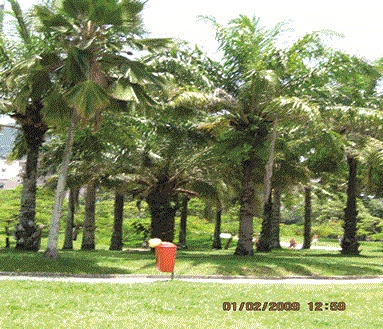 SERVICOS AMBIENTAIS EM CAMPOS DOS GOYTACAZES - CONSTRU VERDE