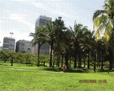 SERVICOS AMBIENTAIS EM CAMPOS DOS GOYTACAZES - CONSTRU VERDE