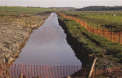 SERVICOS AMBIENTAIS EM CAMPOS DOS GOYTACAZES - CONSTRU VERDE