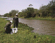 SERVICOS AMBIENTAIS EM CAMPOS DOS GOYTACAZES - CONSTRU VERDE