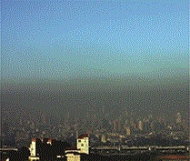 SERVICOS AMBIENTAIS EM CAMPOS DOS GOYTACAZES - CONSTRU VERDE