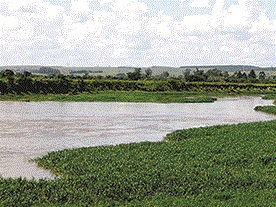 SERVICOS AMBIENTAIS EM CAMPOS DOS GOYTACAZES - CONSTRU VERDE