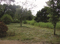 SERVICOS AMBIENTAIS EM CAMPOS DOS GOYTACAZES - CONSTRU VERDE