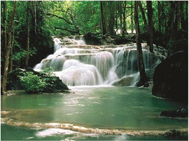 SERVICOS AMBIENTAIS EM CAMPOS DOS GOYTACAZES - CONSTRU VERDE