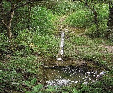 SERVICOS AMBIENTAIS EM CAMPOS DOS GOYTACAZES - CONSTRU VERDE