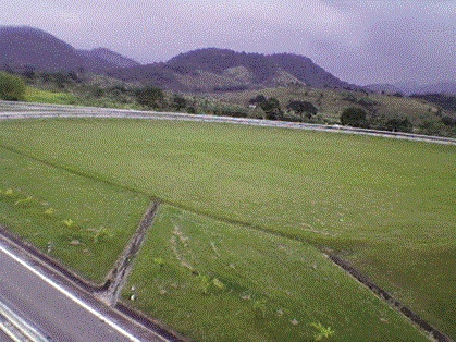 SERVICOS AMBIENTAIS EM CAMPOS DOS GOYTACAZES - CONSTRU VERDE