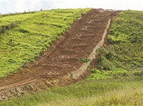 SERVICOS AMBIENTAIS EM CAMPOS DOS GOYTACAZES - CONSTRU VERDE