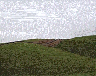 SERVICOS AMBIENTAIS EM CAMPOS DOS GOYTACAZES - CONSTRU VERDE