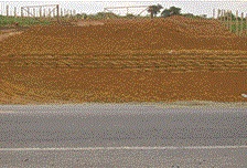 SERVICOS AMBIENTAIS EM CAMPOS DOS GOYTACAZES - CONSTRU VERDE